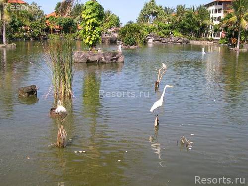 Ayodya Resort Bali 35